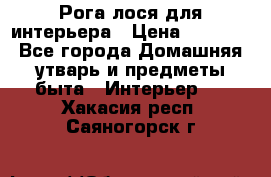 Рога лося для интерьера › Цена ­ 3 300 - Все города Домашняя утварь и предметы быта » Интерьер   . Хакасия респ.,Саяногорск г.